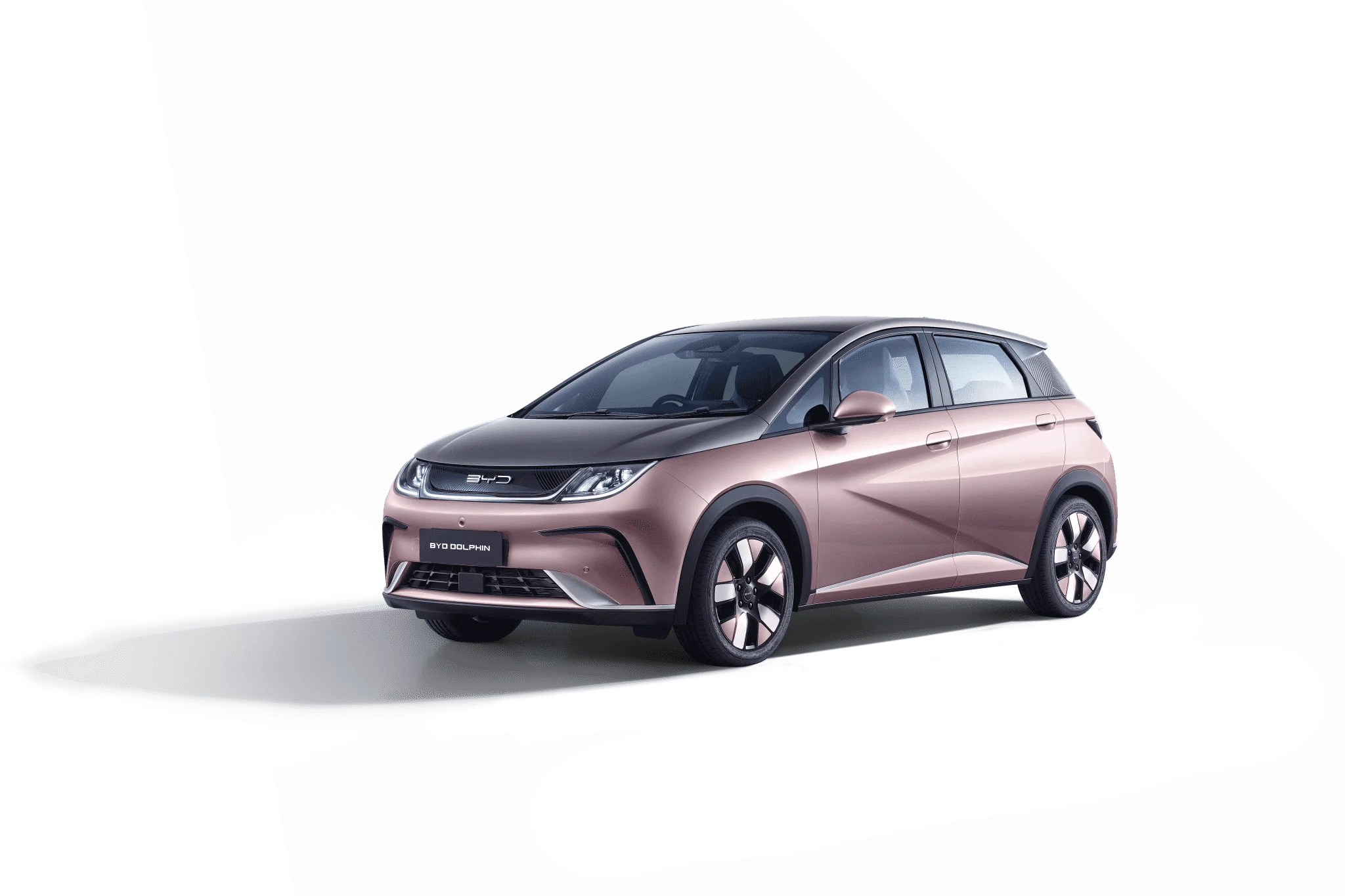 BYD DOLPHIN - CORAL PINK